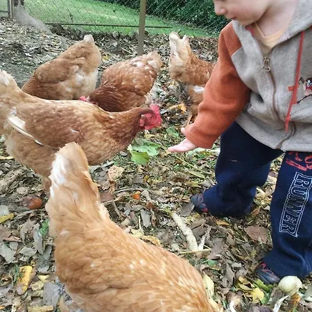 Lo Paller De Roc Hotel Montescladó